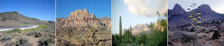 Mojave Desert Criminal Defense Lawyers